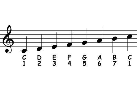 How Many Notes in a Musical Scale: A Symphony of Numbers and Nonsense